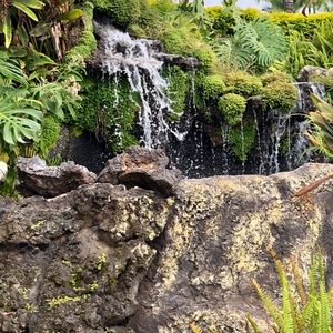 Meet your Posher, Jeff